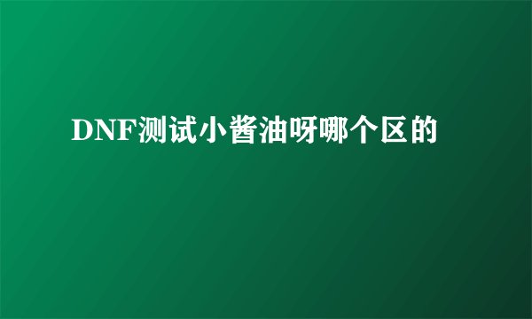 DNF测试小酱油呀哪个区的