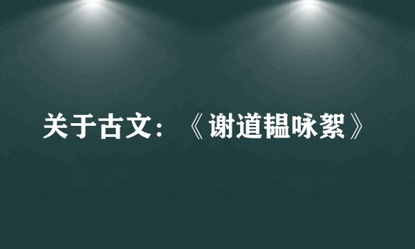 关于古文：《谢道韫咏絮》