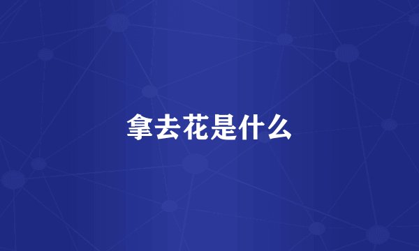 拿去花是什么