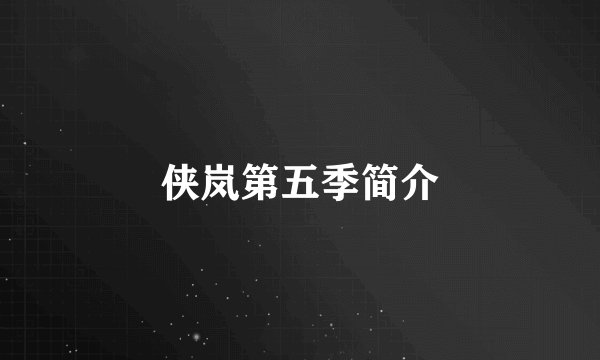 侠岚第五季简介