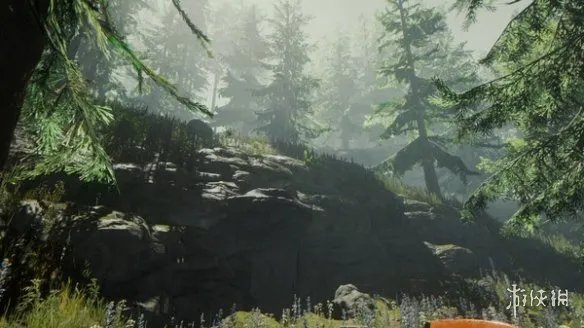 《森林》新手怎么玩?The Forest新手入门攻略一览