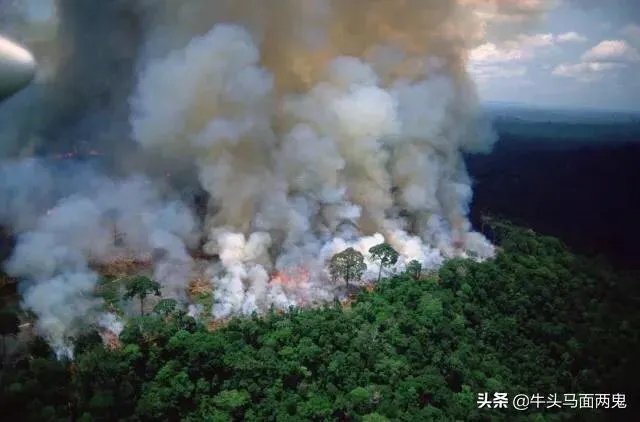 给钱都不要,巴西总统为何拒绝G7为扑灭亚马孙雨林大火而给的2000万美元的援助?