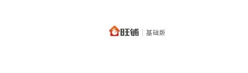 淘宝旺铺专业版多少钱