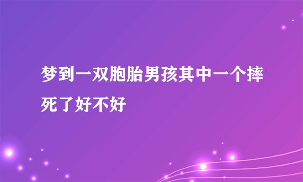 梦到一双胞胎男孩其中一个摔死了好不好