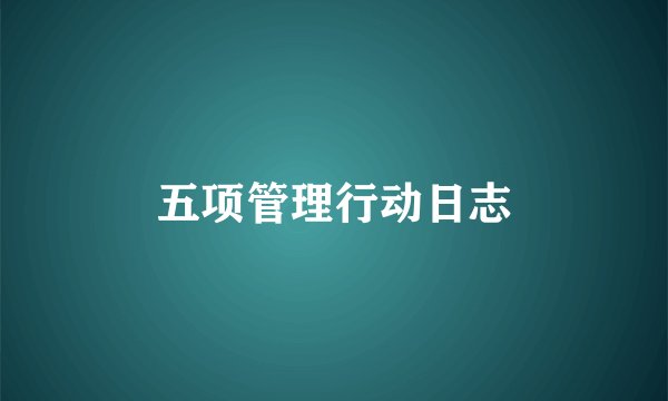五项管理行动日志