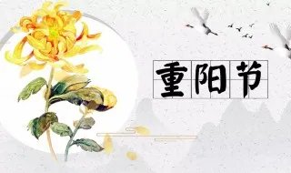 重阳节发朋友圈的精美句子 重阳节发朋友圈精选文案