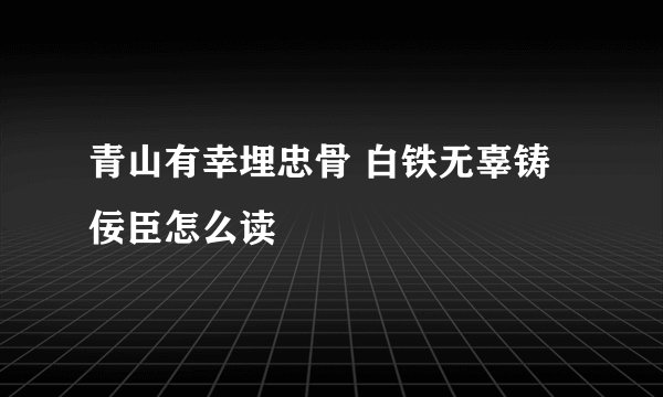 青山有幸埋忠骨 白铁无辜铸佞臣怎么读