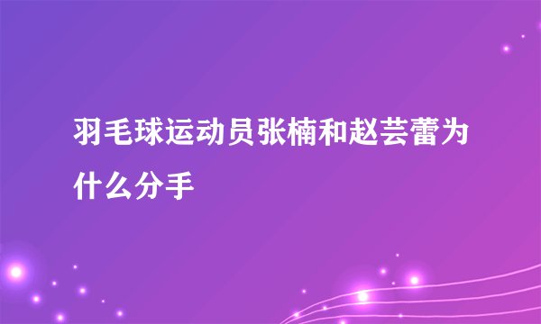 羽毛球运动员张楠和赵芸蕾为什么分手