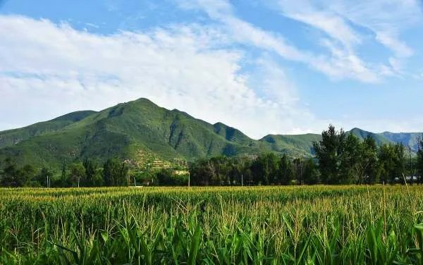 现在如果在农村没有车会被人瞧不起吗？原因是什么？