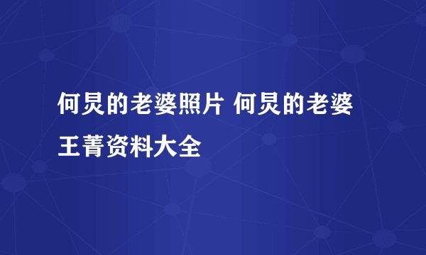 何炅的老婆照片 何炅的老婆王菁资料大全
