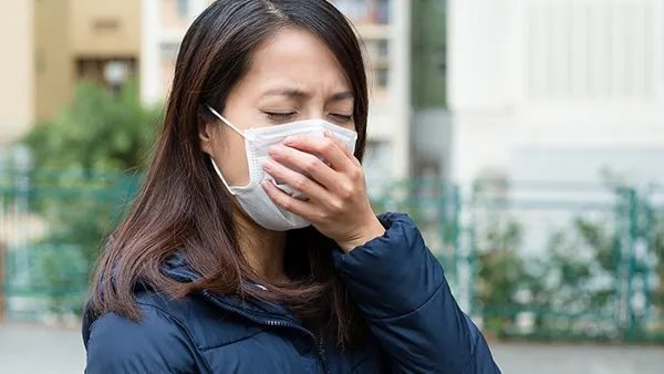 过敏性鼻炎药有什么