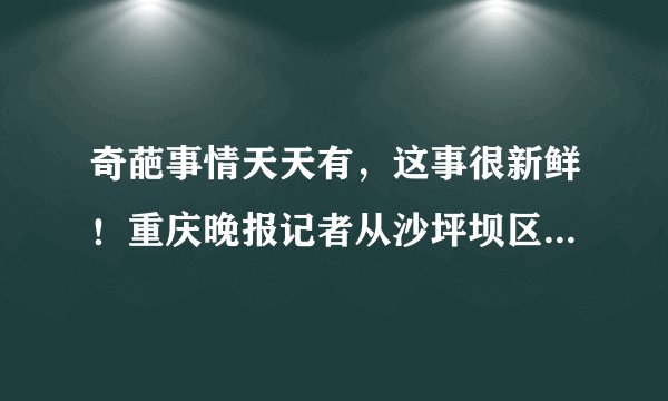 奇葩事情天天有，这事很新鲜！重庆晚报记者从沙坪坝区渝碚路派出所获悉，该区杨公桥一名女子遭遇电信诈骗，被骗走5300元现金，汇款之后又被骗子忽悠，听信骗子荒唐取回钱的方法：让她买整瓶可乐倒进ATM机，导致ATM机受损，经济损失高达6万多元。该女子的做法（　　）①充分行使了公民的政治权利和自由②违背了权利与义务相统一的原则③违背了个人利益与国家利益相结合的原则④是个人的私事，我们不应指责A.①②B. ①③C. ①④D. ②③