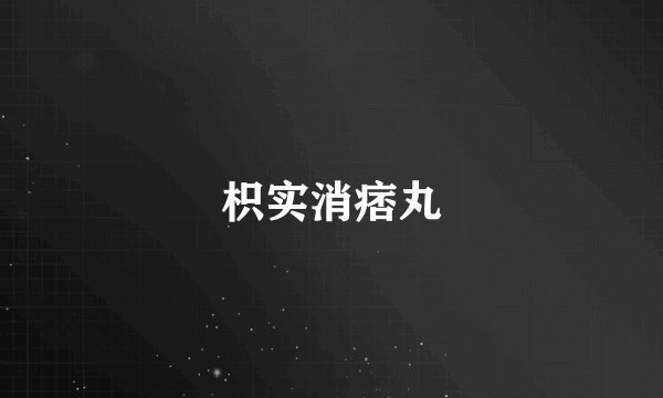 枳实消痞丸