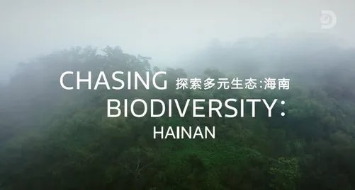 MediaTek携手Discovery探索多元生态，天玑影像记录自然之美