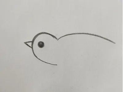 燕子怎么画