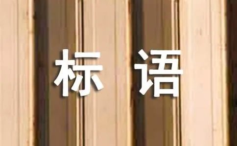 伊琍体标语