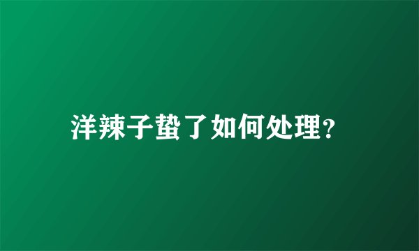 洋辣子蛰了如何处理？
