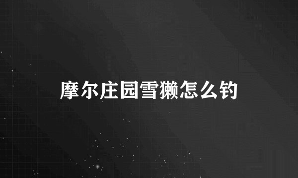 摩尔庄园雪獭怎么钓