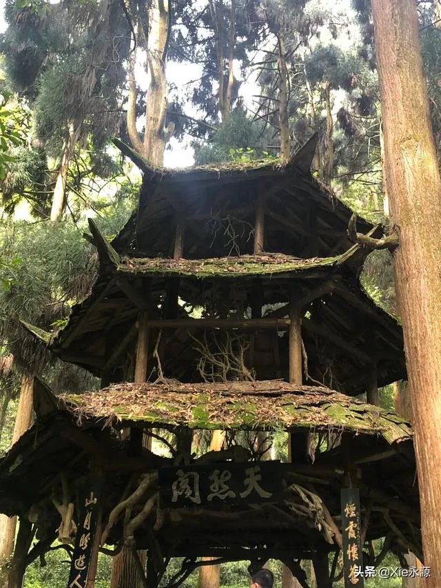 成都青城山好玩吗?