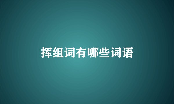 挥组词有哪些词语
