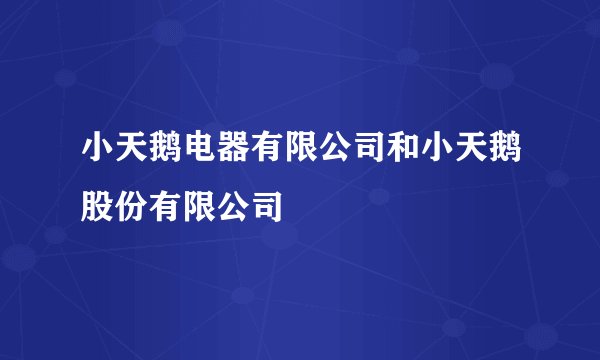 小天鹅电器有限公司和小天鹅股份有限公司