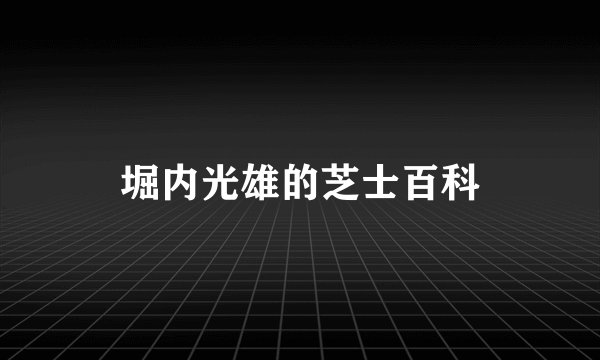 堀内光雄的芝士百科