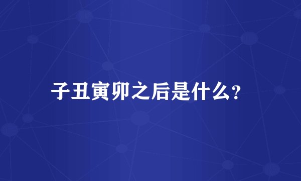 子丑寅卯之后是什么?