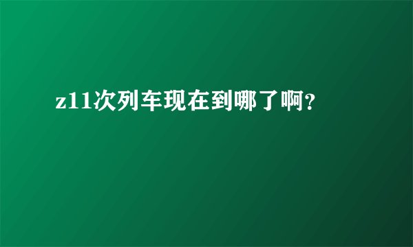 z11次列车现在到哪了啊？