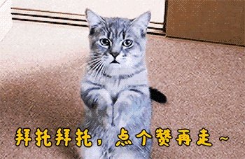 特朗普买岛受挫,为啥指责丹麦保护费交的太少?