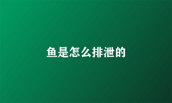 鱼是怎么排泄的