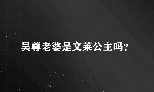 吴尊老婆是文莱公主吗？
