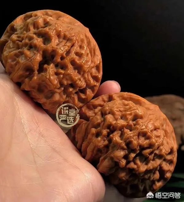 想盘玩核桃,是选小核桃好,还选麻核桃好?有什么区别?