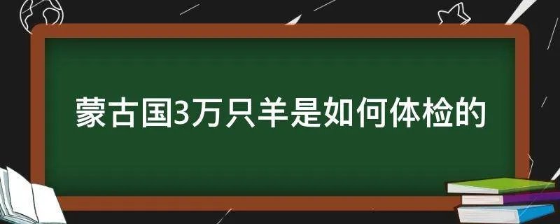 蒙古国3万只羊是如何体检的