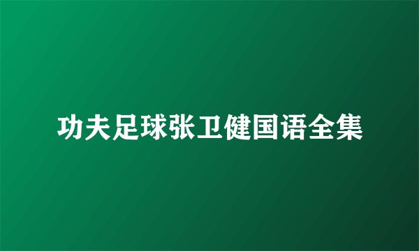 功夫足球张卫健国语全集