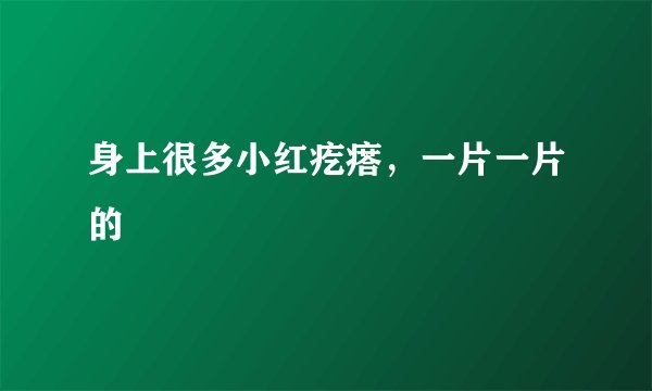 身上很多小红疙瘩，一片一片的