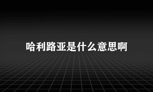 哈利路亚是什么意思啊