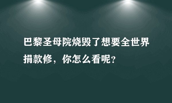 巴黎圣母院烧毁了想要全世界捐款修，你怎么看呢？