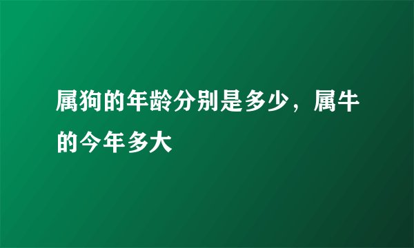 属狗的年龄分别是多少，属牛的今年多大