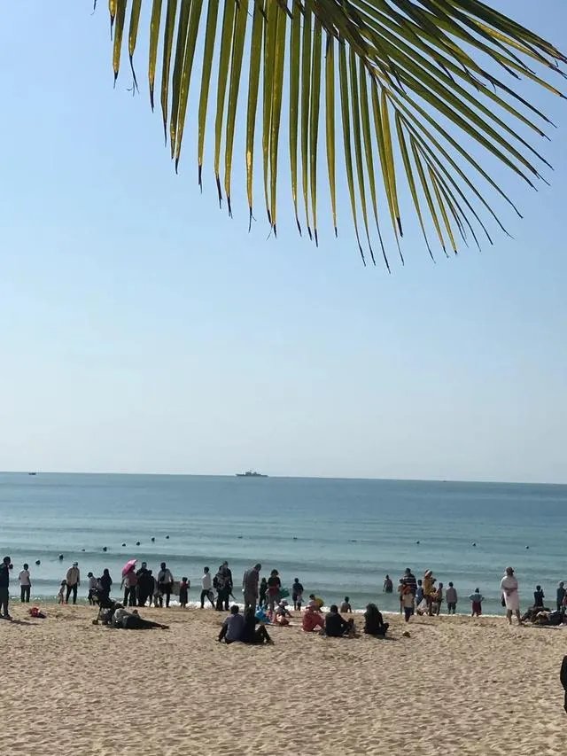 为什么三亚国际旅游岛新冠几乎没有?