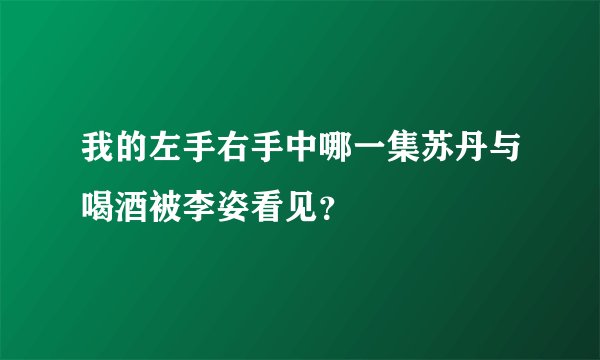 我的左手右手中哪一集苏丹与喝酒被李姿看见?