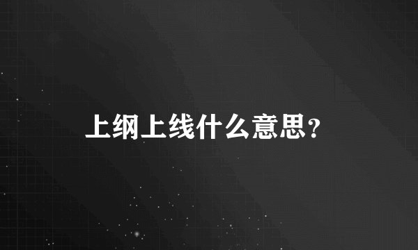 上纲上线什么意思?