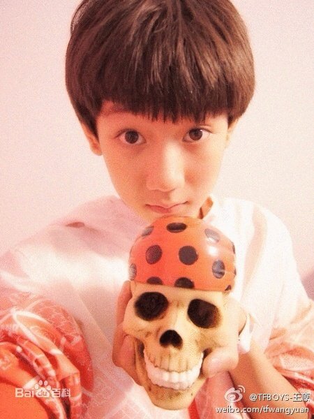 tfboys成员资料