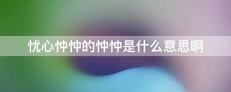 忧心忡忡的忡忡是什么意思啊