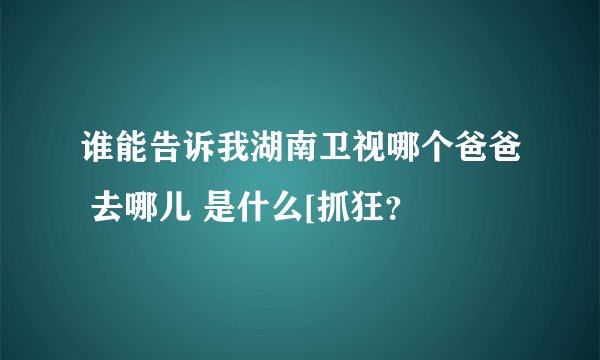谁能告诉我湖南卫视哪个爸爸 去哪儿 是什么[抓狂？