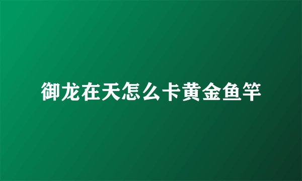 御龙在天怎么卡黄金鱼竿
