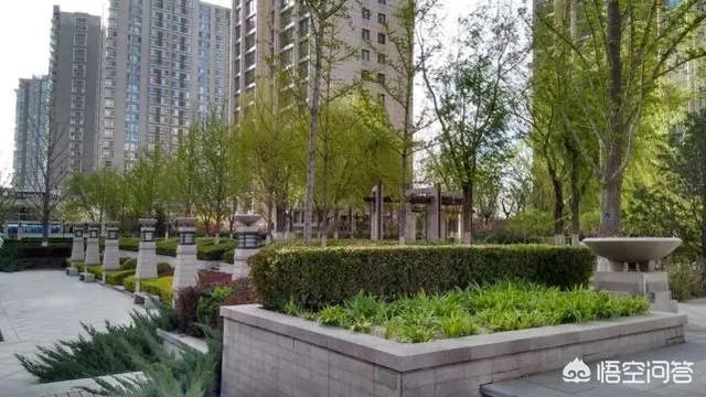 李小璐微博背景墙换成与贾乃亮的婚纱照,两人真的要复合吗?