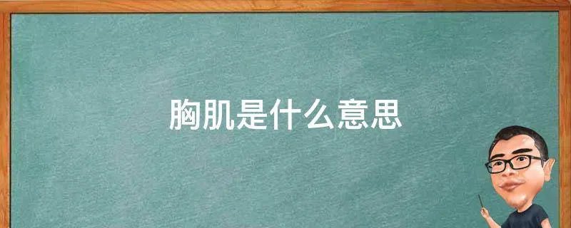 胸肌是什么意思