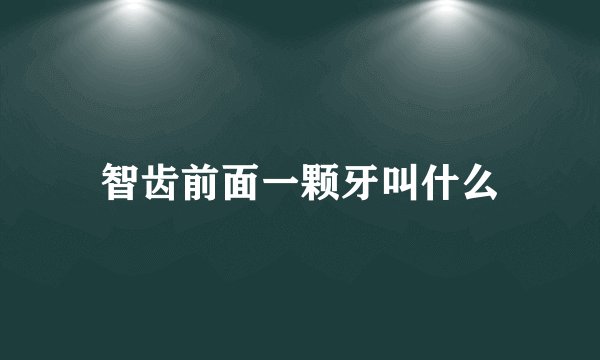 智齿前面一颗牙叫什么