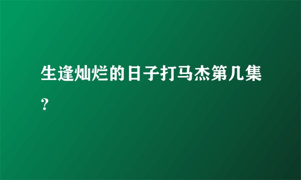 生逢灿烂的日子打马杰第几集？