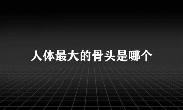 人体最大的骨头是哪个